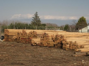 &Sigma;&Upsilon;&Nu;&Tau;&Eta;&Rho;&Eta;&Sigma;&Eta; &Kappa;&Alpha;&Iota; &Iota;&Delta;&Iota;&Omicron;&Tau;&Eta;&Tau;&Epsilon;&Sigma; &Xi;&Upsilon;&Lambda;&Omicron;&Upsilon;
