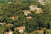 &Sigma;&eta;&mu;&alpha;&nu;&tau;&iota;&kappa;ή &alpha;ύ&xi;&eta;&sigma;&eta; &sigma;&tau;&alpha; έ&sigma;&omicron;&delta;&alpha; &alpha;&pi;ό &alpha;&upsilon;&theta;&alpha;ί&rho;&epsilon;&tau;&alpha;