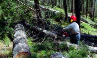 &Epsilon;&xi;&alpha;&rho;&sigma;&eta; &tau;&eta;&sigmaf; &lambda;&alpha;&theta;&rho;&omicron;ϋ&lambda;&omicron;&tau;&omicron;&mu;ί&alpha;&sigmaf; &lambda;ό&gamma;&omega; &tau;&eta;&sigmaf; &kappa;&rho;ί&sigma;&eta;&sigmaf;