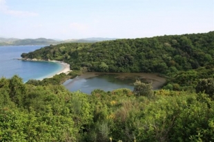 &Tau;&sigma;&iota;&mu;έ&nu;&tau;&omicron; &pi;&alpha;&rho;&theta;έ&nu;&alpha; έ&kappa;&tau;&alpha;&sigma;&eta; &sigma;&tau;&eta; &Kappa;&alpha;&sigma;&sigma;&iota;ώ&pi;&eta; &tau;&eta;&sigmaf; &Kappa;έ&rho;&kappa;&upsilon;&rho;&alpha;&sigmaf; &mu;&epsilon; &Pi;&rho;&omicron;&epsilon;&delta;&rho;&iota;&kappa;ό &Delta;&iota;ά&tau;&alpha;&gamma;&mu;&alpha;